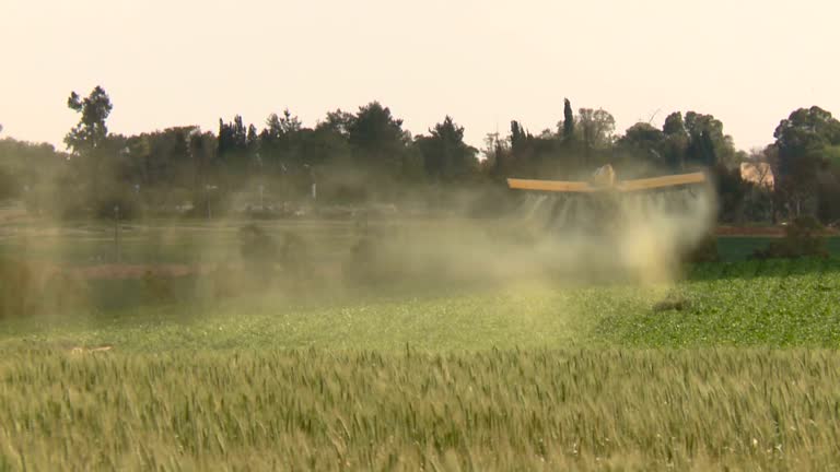 Emergency Pest Control in Brittany Farms The Highlands, PA